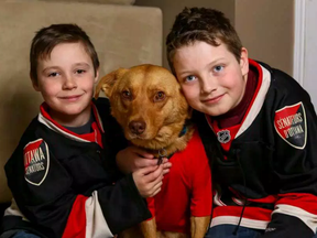 Reece, 7, and Cole,10, with their new dog Bobby, named after the Ottawa Senators' Bobby Ryan. ERROL MCGIHON / POSTMEDIA NEWS