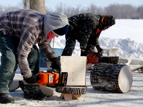 Cally Langridge, with her dad Bill, shows off her chainsaw carving skills at the Tweed Memorial Park as part of the Tweed Winter Festival, on Saturday February 13, 2016 in Tweed, Ont. 

Emily Mountney-Lessard/Belleville Intelligencer/Postmedia Network