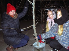 Artists Sandra Poczobut, left, of Port Stanley and Jaime and Janelle Barash, formerly of St. Thomas, who go by the art name Cash Honey, crouch near a piece of brush whose base is encased in ice. The three were in the process of creating an exhibit called "Forest," at Elgin County Railway Museum in St. Thomas for last year's Railway City Arts Crawl.