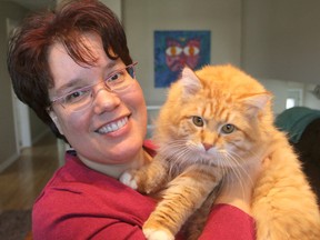 Cat breeder-in-training Suzanne Sinclair holds her Siberian cat Faegan at her home in Kingston on Feb. 5. Kingston will host a national cat show later this month with more than 100 cats from more than 30 breeds represented. (Michael Lea/The Whig-Standard)