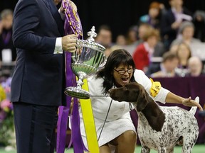 Valerie Nunes-Atkinson reacts after CJ, a German shorthaired pointer, won best in show at the 140th Westminster Kennel Club dog show, Tuesday, Feb. 16, 2016, at Madison Square Garden in New York. (AP Photo/Seth Wenig)