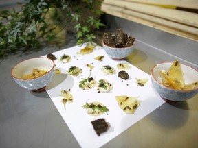 display of bite-sized snacks incorporating crickets at GrowHop—a local cricket farm start-up in Nepean that is hoping to familiarize Ottawans with crickets as a dietary source of protein. (David Kawai)