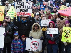 Protesters gathered at the Alberta Legislature in November. (DAVID BLOOM)