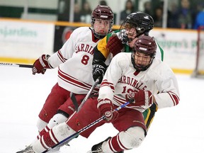 The St. Charles Cardinals took a 2-1 series lead over the Lockerby Vikings with a 3-2 shootout win in Game 3 on Monday night. Game 4 is set for Thursday at 6:30 p.m. at Gerry McCrory Countryside Sports Complex.