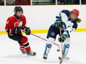 According to their calculations, the boys’ teams got 80 per cent of the ice time they requested, compared to 57 per cent for the girls. (Craig Glover/Postmedia Network)