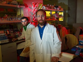 Professor Robert Campbell and his PhD student Ahmed Abdelfattah have built a new fluorescent molecule that allows them to “see the messages” sent through the brain.