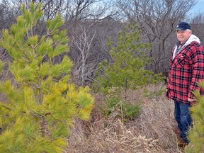 Stuart Steckle, owner of Staholme Farms and Black Ovation Purebred Angus on Bronson Line stands near some planted trees. According to the Zurich area Angus beef farmer, programs similar to the Huron County Clean Water Project help make it possible to do new projects,. “It gets you started,” he said. “It lowers the cost and it makes it more affordable.”(Contributed photo)