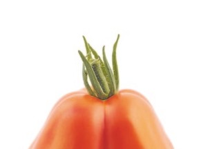 Big Beef tomatoes have a 79-day maturity.
