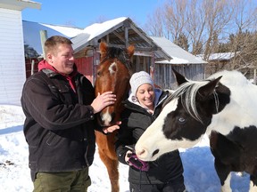 Veteran Eric Coupal and his wife, Selene Selinger, are greeted by Jackson and Casey at a friend's farm on Friday February 26, 2016. The couple hope to bring the horses to their farm in Hagar where the animals will be part of the Quartz Ridge Sanctuary the couple hope to open for soldiers and veterans with PTSD. John Lappa/Sudbury Star/Postmedia Network