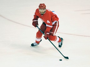 Detroit Red Wings defenseman Jakub Kindl was traded to the Florida Panthers for a sixth-round pick in 2017.  (AP Photo/Jose Juarez)