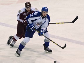 Sudbury Wolves’ Kyle Capobianco and Peterborough Petes’ Josh Maguire battle for the puck during OHL hockey at the Peterborough Memorial Centre Saturday, February 27, 2016. Jessica Nyznik/ Postmedia Network