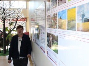 Vermilion and District Housing Foundation CAO Sherri Heller showcases the panel of ideas for the Valley Lodge’s proposed courtyard upgrades.