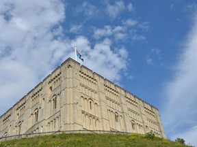 The gang tried to steal a rhino head from Norwich Castle Museum (pictured), but dropped it as they fled. (Fotolia)
