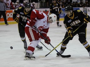Sarnia Sting forward Anthony Salinitri, left, watches teammate Jordan Kyrou chip the puck past Hayden Verbeek of the Sault Ste. Marie Greyhounds during the Ontario Hockey League game at the Sarnia Sports and Entertainment Centre on Thursday, March 3, 2016 in Sarnia, Ont. The Sting and Greyhounds concluded their six-game season series. (Terry Bridge/Sarnia Observer/Postmedia Network)