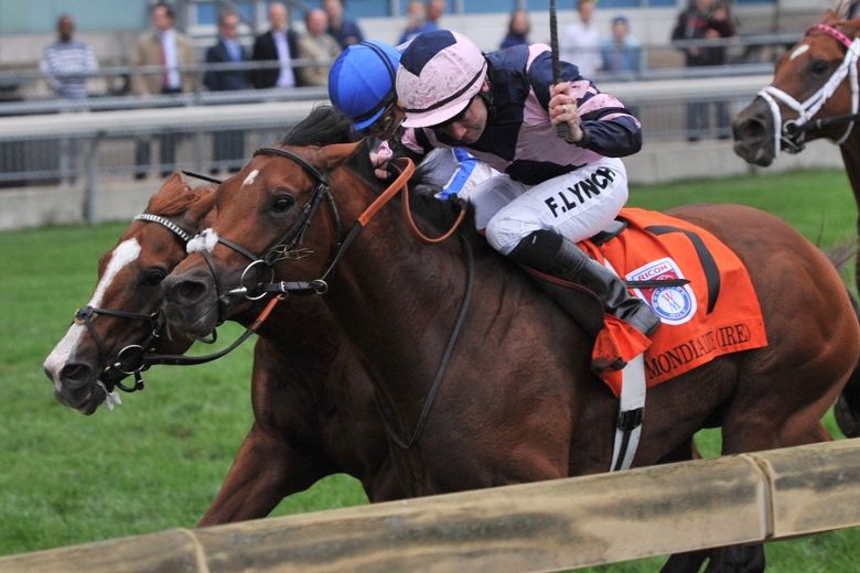 big-horse-races-coming-to-a-track-near-you-toronto-sun