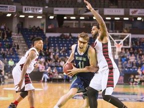 Niagara River Lions Logan Stutz (11) is guarded by Orangeville A's Justin Moss (20) in National Basketball League of Canada action  on Thursday March 3, 2016 at the Meridian Centre in St. Catharines. (Bob Tymczyszyn, Postmedia Network)