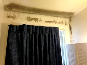 A view of a room at the rear of the Knights Inn features black mold on the wall and ceiling. (Paul Schliesmann/The Whig-Standard)