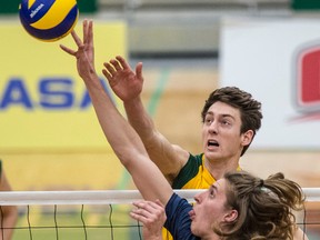 Chris Towe of Alberta and Adam Schriemer of Trinity Western joust for the ball as the University of Alberta Golden Bears fell to the Spartans in three-straight sets in their Canada West Final Four semifinal at the Saville Community Sports Centre Friday. (Shaughn Butts)