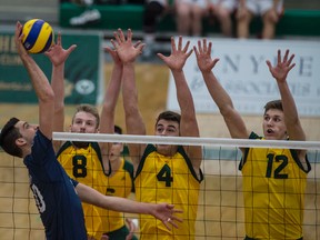 The University of Alberta Golden Bears men's volleyball team bounced back from a three-set loss to Trinity Western University on Friday to sweep the University of Manitoba in three Saturday to claim their 16th straight berth in the national finals. (Shaughn Butts)