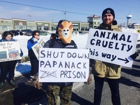 About 40 people gathered near the Papanack Zoo in Wendover on Sunday afternoon to protest the shooting death of a lion at the zoo last week. DRAKE FENTON / POSTMEDIA