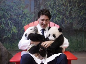 Prime Minister Justin Trudeau holds the Toronto Zoo's two giant panda cubs Monday, March 7, 2016 in a photo taken out of sight from the media and posted to his Twitter account. (Twitter)