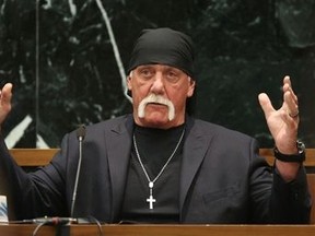 Terry Bollea, AKA Hulk Hogan,  testified on Tuesday he no longer was "the same person I was before" following personal setbacks and the humiliation suffered when the online news outlet Gawker posted a video of him having sex with a friend's wife. REUTERS/Tampa Bay Times/John Pendygraft