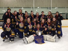 The College Notre Dame Alouettes, seen here with their city championship banner, have advanced to the OFSAA A/AA girls hockey championships semifinals.