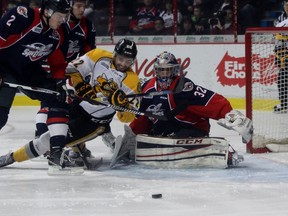 Sarnia Sting forward Matt Mistele is shoved to the ice while trying to slip a loose puck past Windsor Spitfires goalie Mario Culina during the Ontario Hockey League game at the WFCU Centre on Thursday, March 10, 2016 in Windsor, Ont. (Terry Bridge/Sarnia Observer/Postmedia Network)