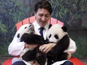 Prime Minister Justin Trudeau's Twitter account tweeted this photo of him holding the Toronto Zoo's panda cubs Jia Panpan and Jia Yueyue when the zoo announced their names to the public on March 7, 2016. (Justin Trudeau/Twitter)