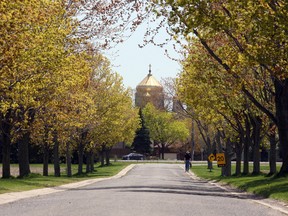 Greenness in urban areas has been linked to a number of healthy behaviours, says Paul Villeneuve, professor of Health Sciences. MARK SUTCLIFFE/POSTMEDIA