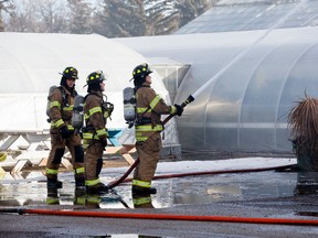 Firefighters douse hot spots following a fire at the Alberta Hospital greenhouse section. (David Bloom photo)