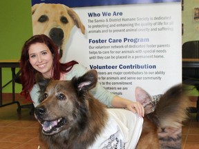 Sarnia & District Humane Society's Alissa Scarpelli and Bear the Dog strike a pose at the society's Exmouth Street location. Bear will be attending the fourth annual Dog Days Afternoon at DeGroot's Nurseries on Saturday from 9 a.m. to 3 p.m. Carl Hnatyshyn/Postmedia Network