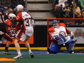 Rock goalie Nick Rose, playing in his 100th career game, makes a save in the first period against the Vancouver Stealth on Sunday at the Air Canada Centre. (Jack Boland/Toronto Sun)