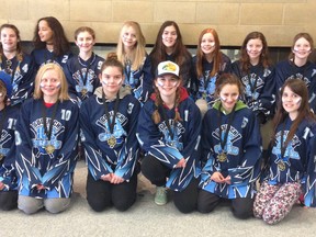 The U14 Ice Crushers won the gold medal in Niagara Falls over the March 4-6 weekend. Pictured here, back row from left to right, Katie Ridsdale, Avery Cross, Grace Taylor, Sarah Strickland, Lauren Smith, Hannah Greer, Kiara Plumsteel, Megan Kovats and Melanie McClinchey. Front row from left to right, Ben Craig, Grace Mayhew, Arden Bowler, Hannah Kent, Ella Wick and Michaela Alcock. (Contributed photo)