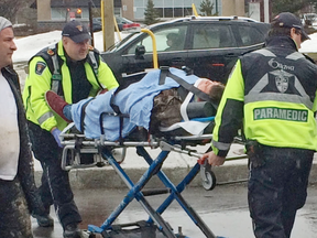 Accident scene at the corner of Greenbank and Wessex roads. Pedestrians were hit and taken by ambulance to hospital, March 14, 2016. (Tony Caldwell/Postmedia)