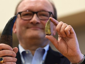 Hans-Dieter Sues, chair of the Department of Paleobiology at the Smithsonian's National Museum of Natural History, holds up a tooth of a new dinosaur, Timurlengia euotica, right, in comparison to the tooth of a Tyrannosaurus rex, left, following a news conference in Washington, Monday, March 14, 2016. (AP Photo/Susan Walsh)