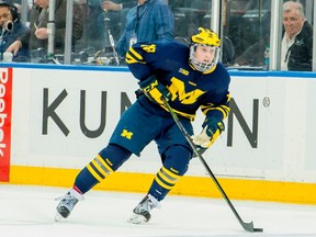 Jets 2015 first-rounder Kyle Connor was named the top player and top freshman in the NCAA's Big Ten Conference on Monday.