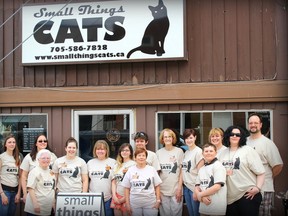 Photo supplied
Small Things Cats volunteers pose outside the store on Hazel Street.