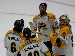 Noah Bushnell, Ryan McGregor, Zach Core and goalie Charlie Graham of the Sarnia Sting celebrate clinching the second West Division championship in franchise history after defeating the Guelph Storm 7-1 at the Sleeman Centre on Tuesday, March 15, 2016 in Guelph, Ont. (Terry Bridge, Sarnia Observer)
