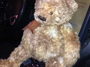 A lost teddy bear found by Toronto Police early Wednesday morning. (Handout photo from TPS operations Twitter account)