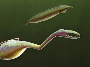 An artist's reconstruction shows the Tully Monster, a type of jawless fish called a lamprey, as it would have looked 300 million years ago in this image released on March 16, 2016. (REUTERS/Sean McMahon/Yale University/Handout via Reuters)