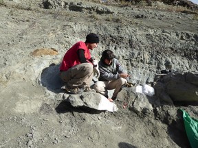 Ben Borkovic and Joe Sanchez collecting horned dinosaur skull from a river bank.