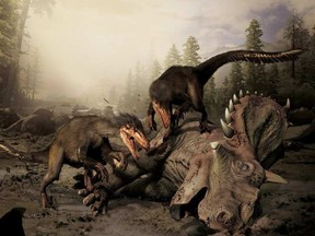 Boreonykus, a new species of dinosaur about the size of a dog and possessing a lethal claw, shown in a handout illustration, has been discovered in northwestern Alberta by an Australian paleontologist. THE CANADIAN PRESS