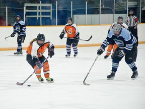 PCE Shenooks hockey tournament