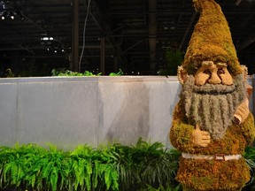 Grout the gnome greeted visitors to Canada Blooms 2016. He is made of two types of moss, has ears of acorns, a birdseed face, a birch bark belt and stands 10 feet tall. (Photo by Anthony Wallace/Special to The Free Press)