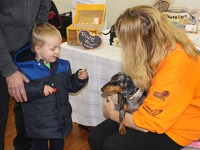 Linda Collier introduces Lucas Ipsen to Lou the dog at the Community Volunteer Recruitment Fair at Cowan Park on Sunday, March 20, 2016. (MEGAN STACEY, Sentinel-Review)