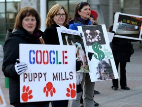 A group of protesters from PAWS (Puppymill Awareness Working Solutions) gathered to protest at Ottawa City Hall in Ottawa Monday March 21, 2016. The protesters gathered to attend the City of Ottawa Community and Protective Services Committee hearing, which was considering an amendment to Bylaw 2011-241 with respect to restricting the sale of cats, dogs and/or rabbits sold for profit in Ottawa pet stores.  Tony Caldwell