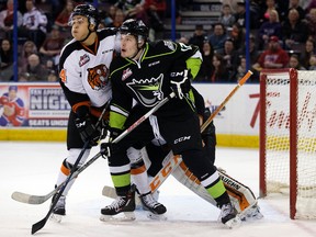 The Oil Kings have failed to beat the Tigers in six regular season matches. (David Bloom)