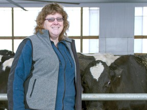 Sandra Farrell pets one of her 70 cows that roams her newly installed compost pack indoor facility that she says allows for her livestock to live healthier, happier lives. (Darryl Coote/Reporter)