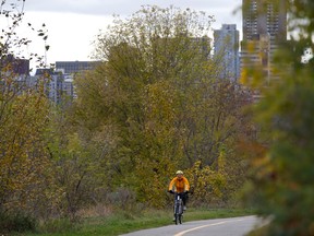 A cyclist rides east towards Riverdale along the North Saskatchewan River in Edmonton, Alta., on Tuesday, Oct. 8, 2013. Ian Kucerak/Edmonton Sun